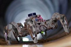 <strong>这些实践履历是正在讲堂和书本中学不到</strong>…